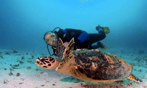 57338842_973350126202126_7362037436739747840_n[1]